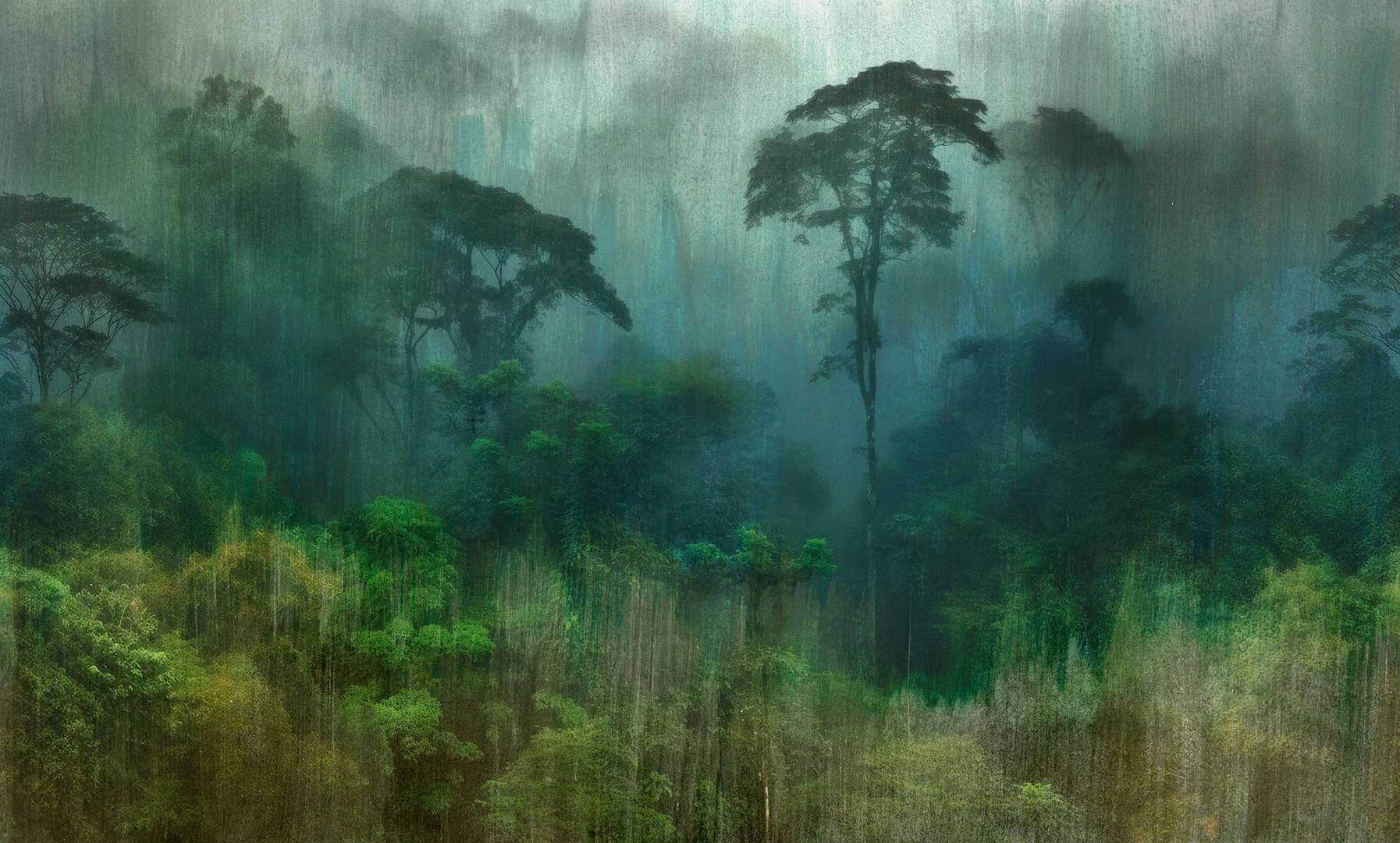 Fototapeta amazońska dżungla Tecnografica 83523-1 YAGE AMAZZONIA GREEN