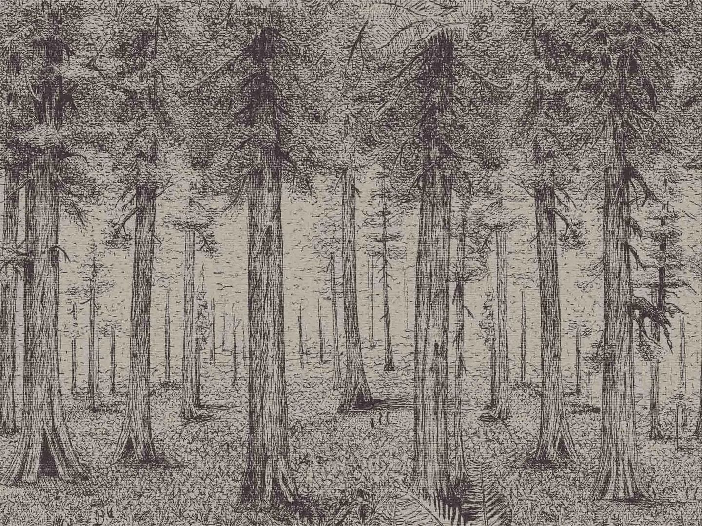 Mural tekstylny krajobraz lasu Pierre Frey FP803002 A Thousand Redwoods The Cult Of Beauty