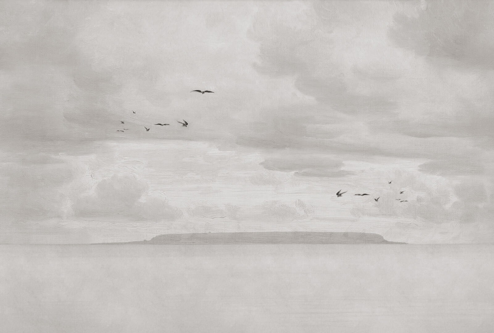 Fototapeta krajobraz morski Rebel Walls R18845 Seabirds Beige Mystic Shades