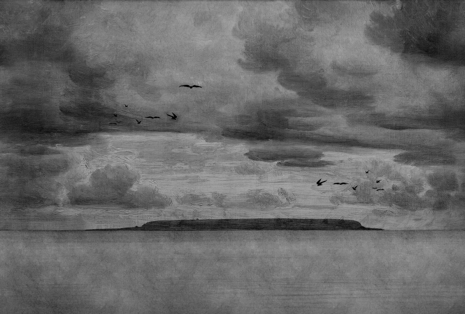 Fototapeta krajobraz morski Rebel Walls R18846 Seabirds Black White Mystic Shades