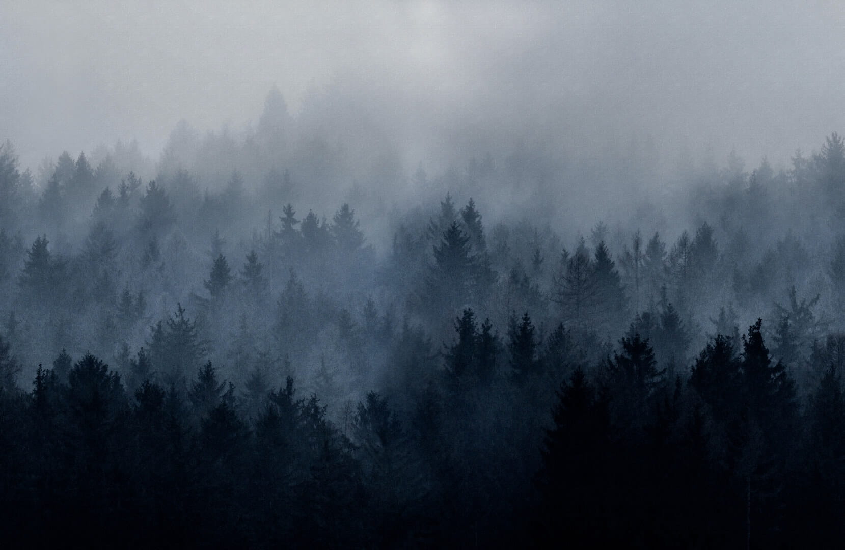 Fototapeta las we mgle Rebel Walls R18868 Cloudy Forest Blue Mystic Shades