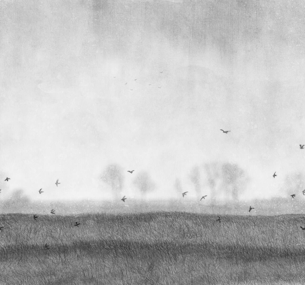 Fototapeta krajobraz skandynawskiej natury Rebel Walls R18880 Scandinavian Landscape Black White Mystic Shades