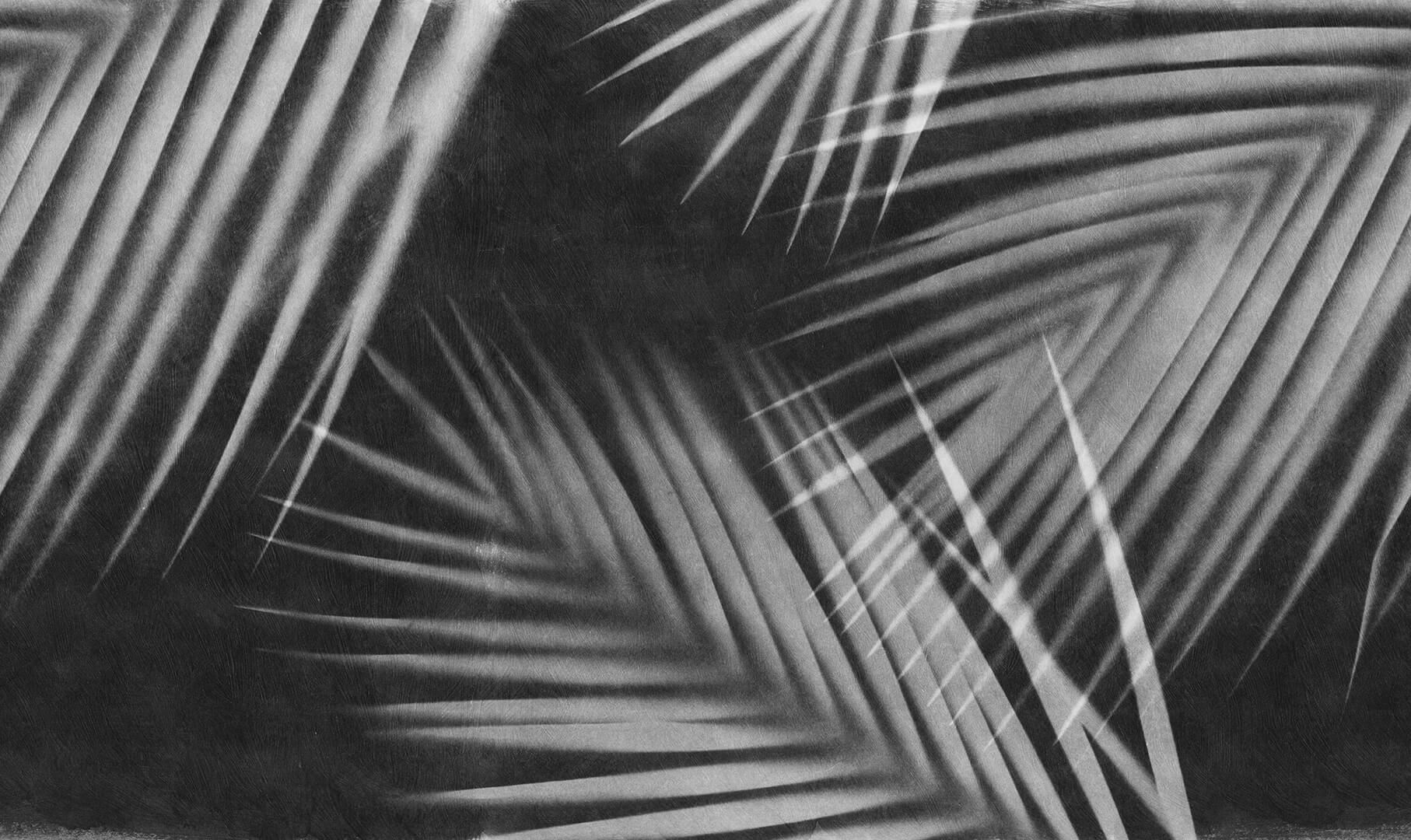 Fototapeta palmowe liście Rebel Walls R18889 Palm Gaze Black White Mystic Shades
