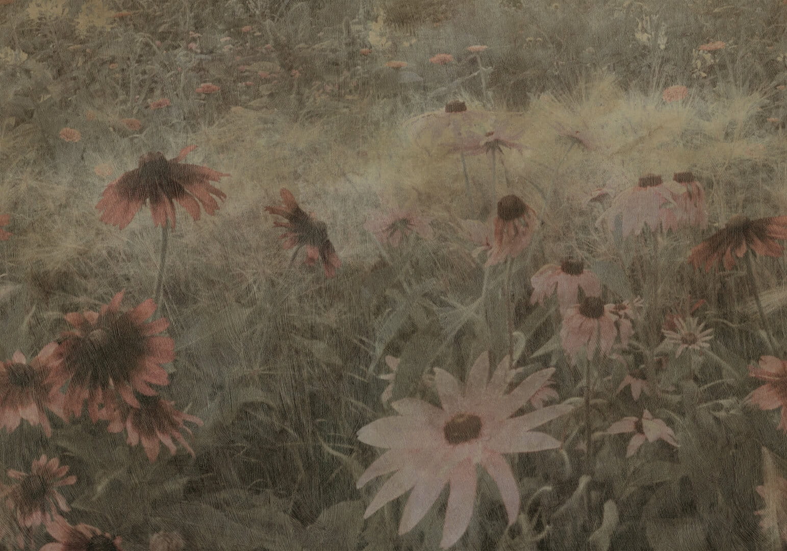 Fototapeta polne kwiaty w stylu vintage Rebel Walls R20174 Dreamy Rudbeckia Pink Mystic Shades