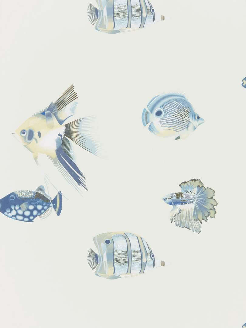 Tapeta ryby Harlequin 111649 Kamanu Idyllic