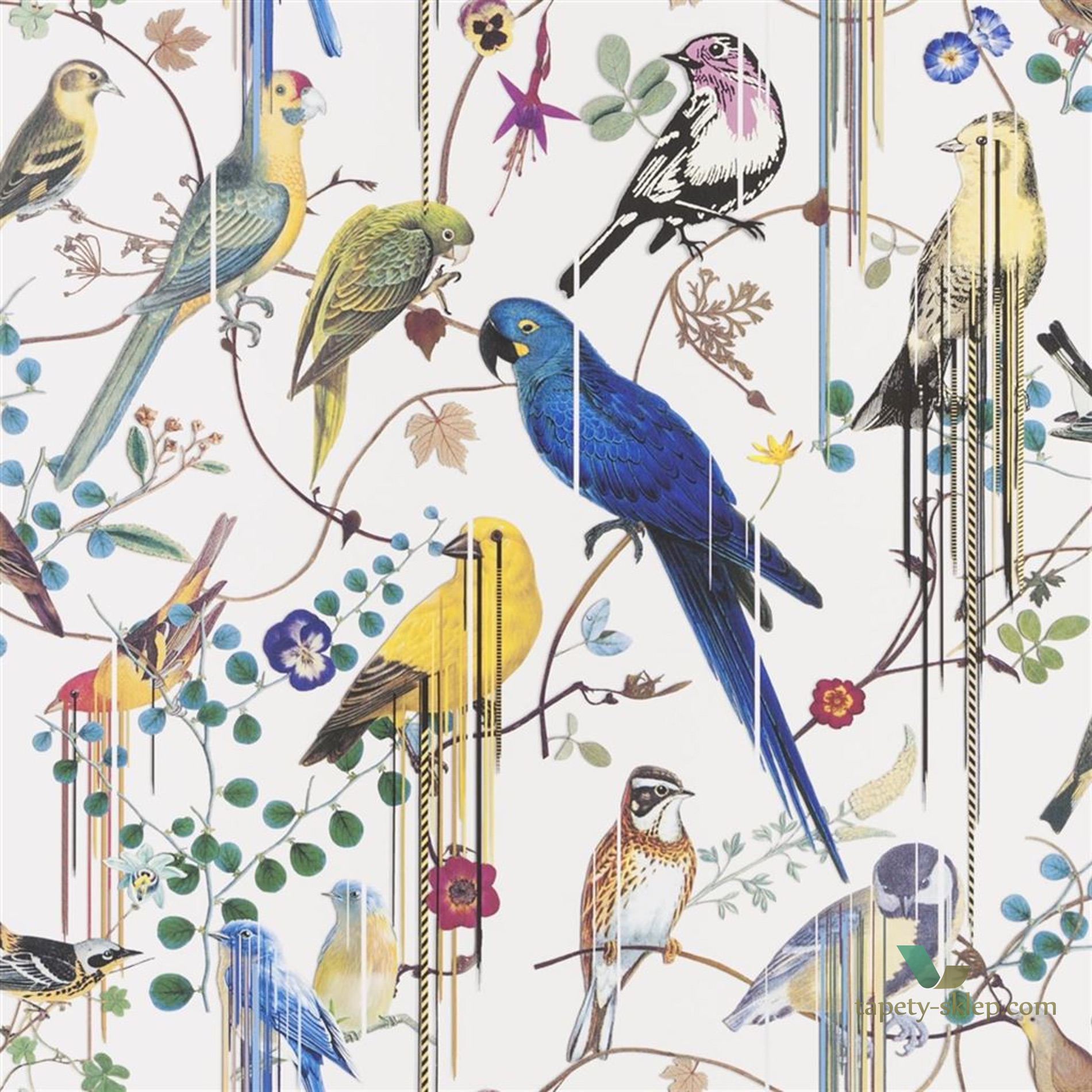 ! HIT ! PROMO Tapeta Ptaki Christian Lacroix PCL7017/02 Birds Sinfonia Histoires Naturelles