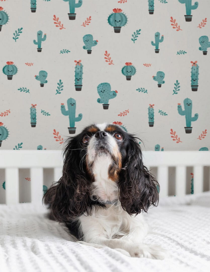 Tapeta kaktusy Papermint Cactus 101 Bleu Classics