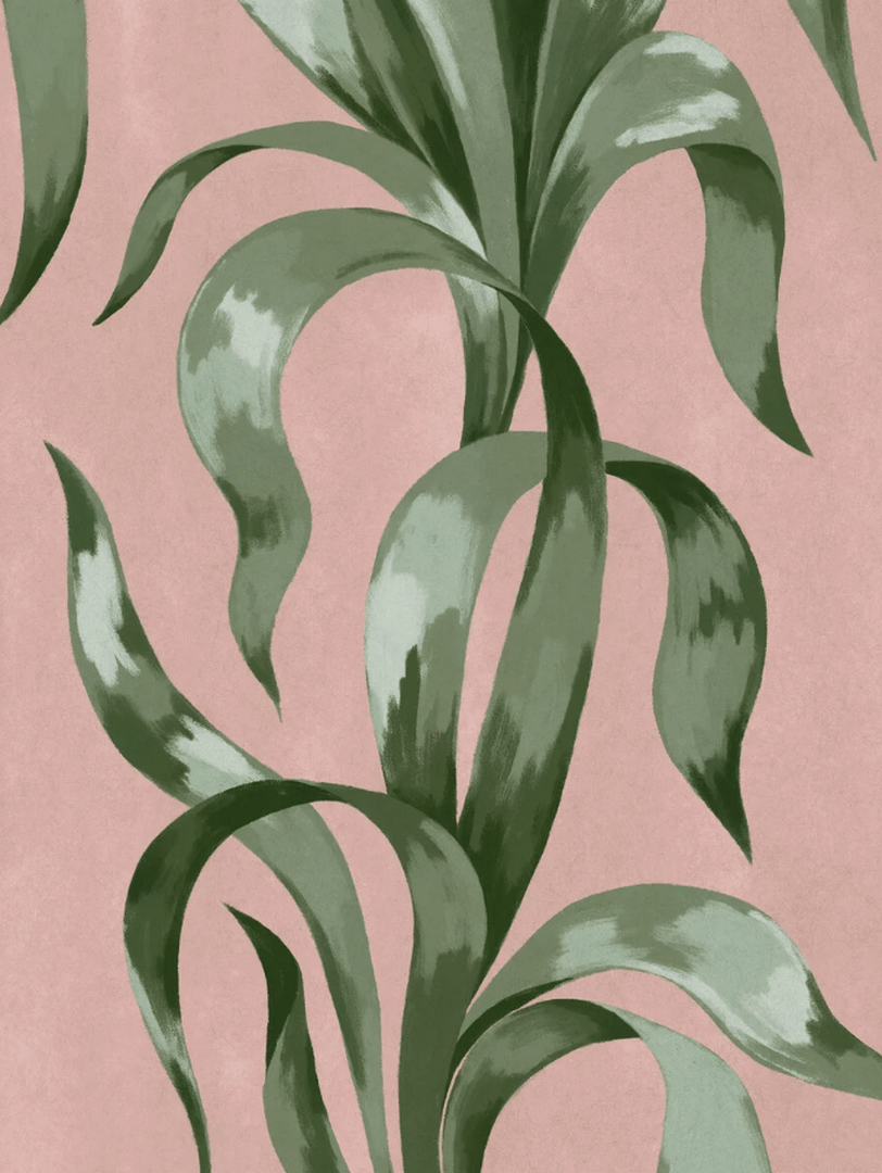 Mural liście agawy Boras Tapeter Studio 9607W Agave