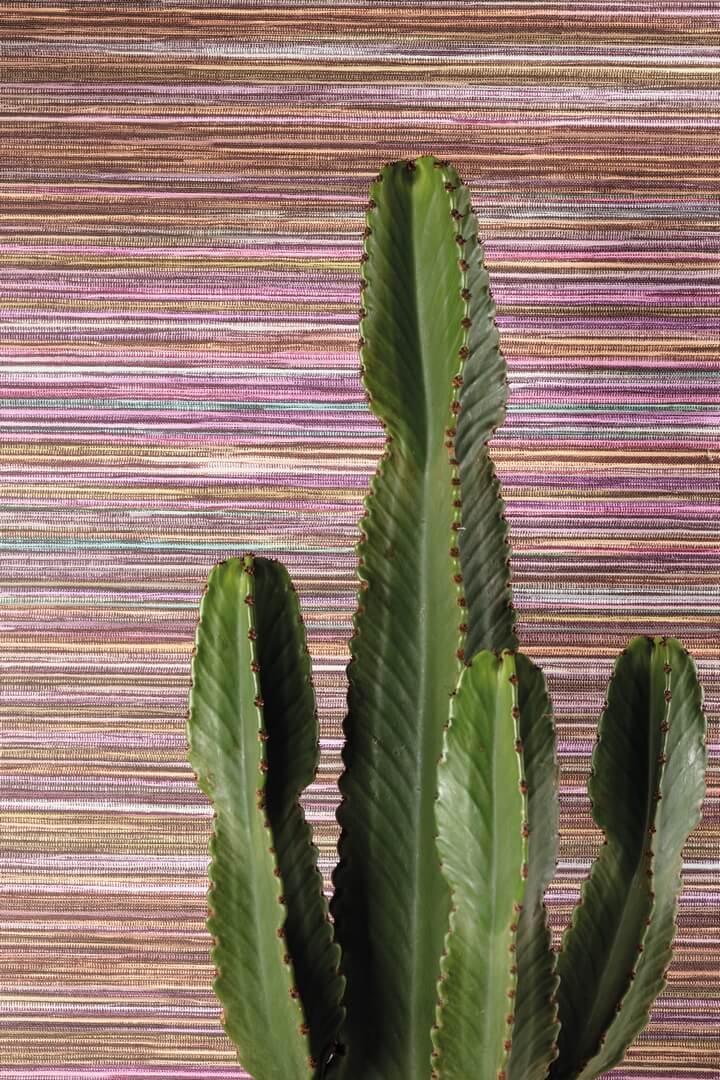 Mural teksturowany cieniowany Khroma DGAMA1041 Pai-Pai Amani