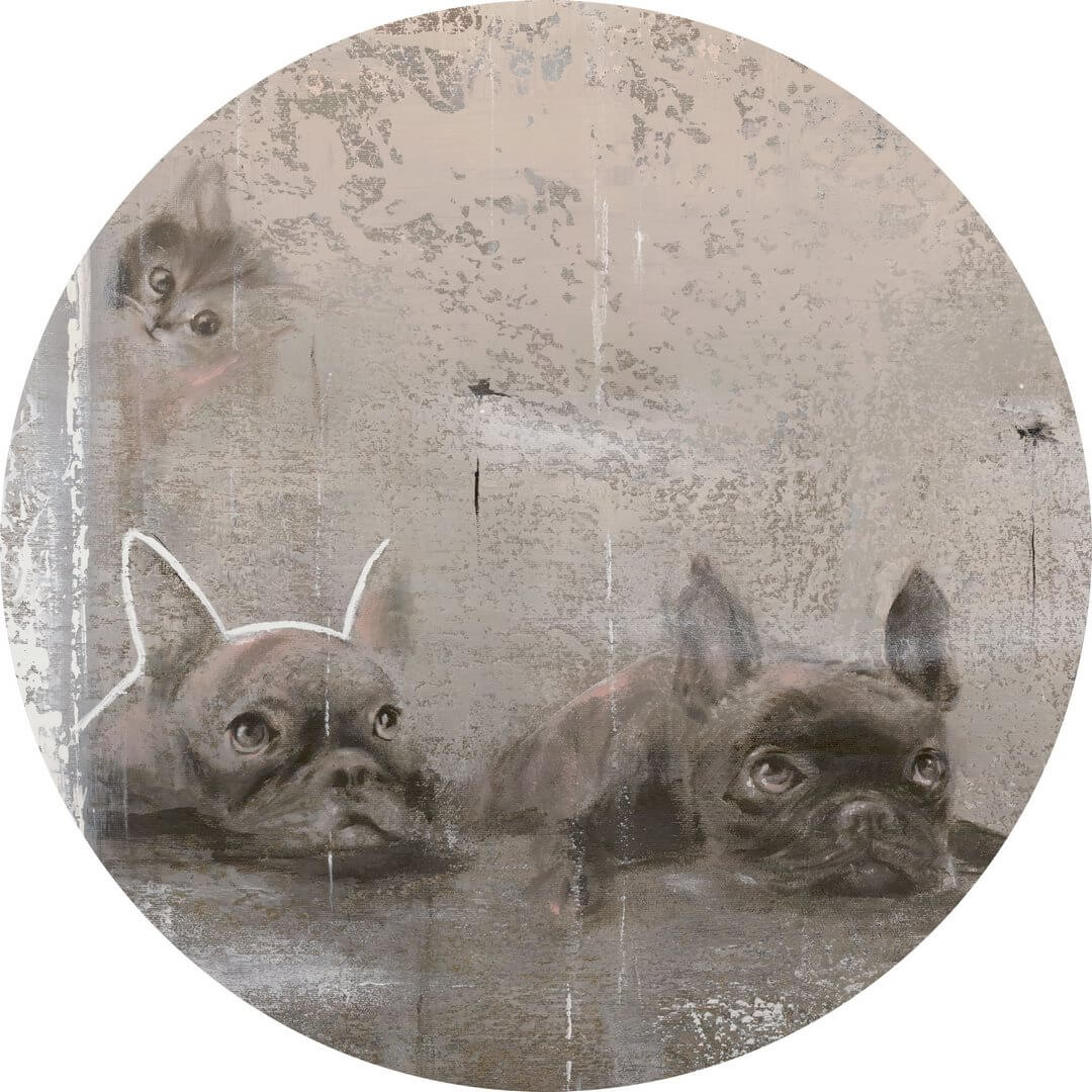 Mural okrągły artystyczny z psami i kotem Wall Art Siesta Koło