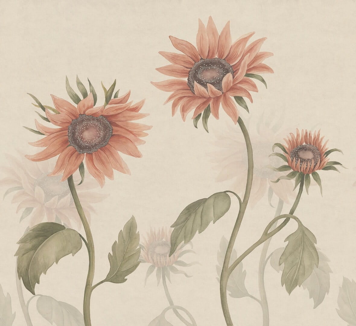 Fototapeta słoneczniki Sandberg S10528 Sunflowers Peach Ett Hem, Öland