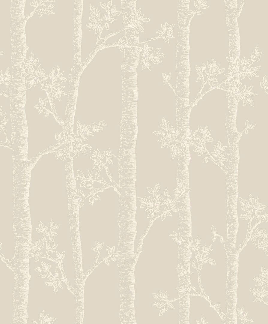 Tapeta pnie drzewa Caselio BLD 106121109 Automne Balade