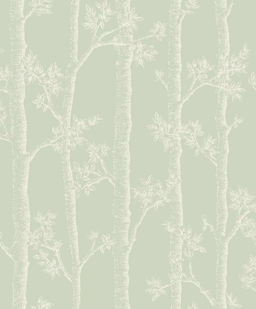 Tapeta pnie drzewa Caselio BLD 106127075 Automne Balade