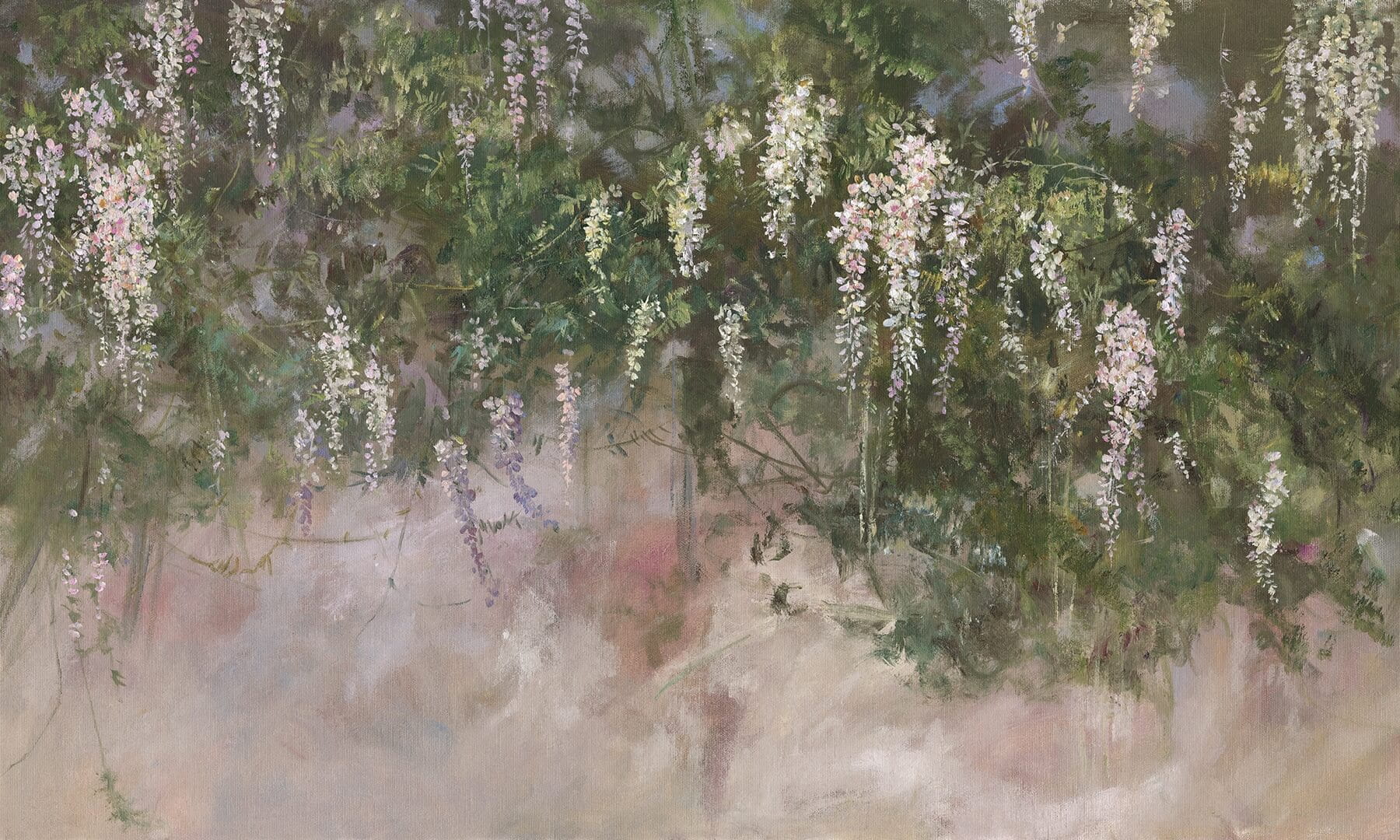 Fototapeta artystyczne roślinne pnącza Wonderwall Sophora 35057108