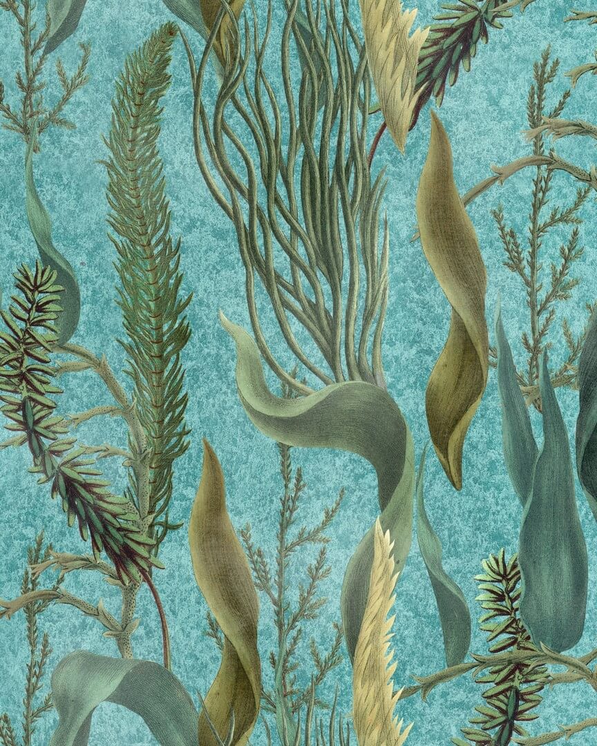 Tapeta wodorosty Mind The Gap WP20716 AQUATIC PLANTS The Wetlands