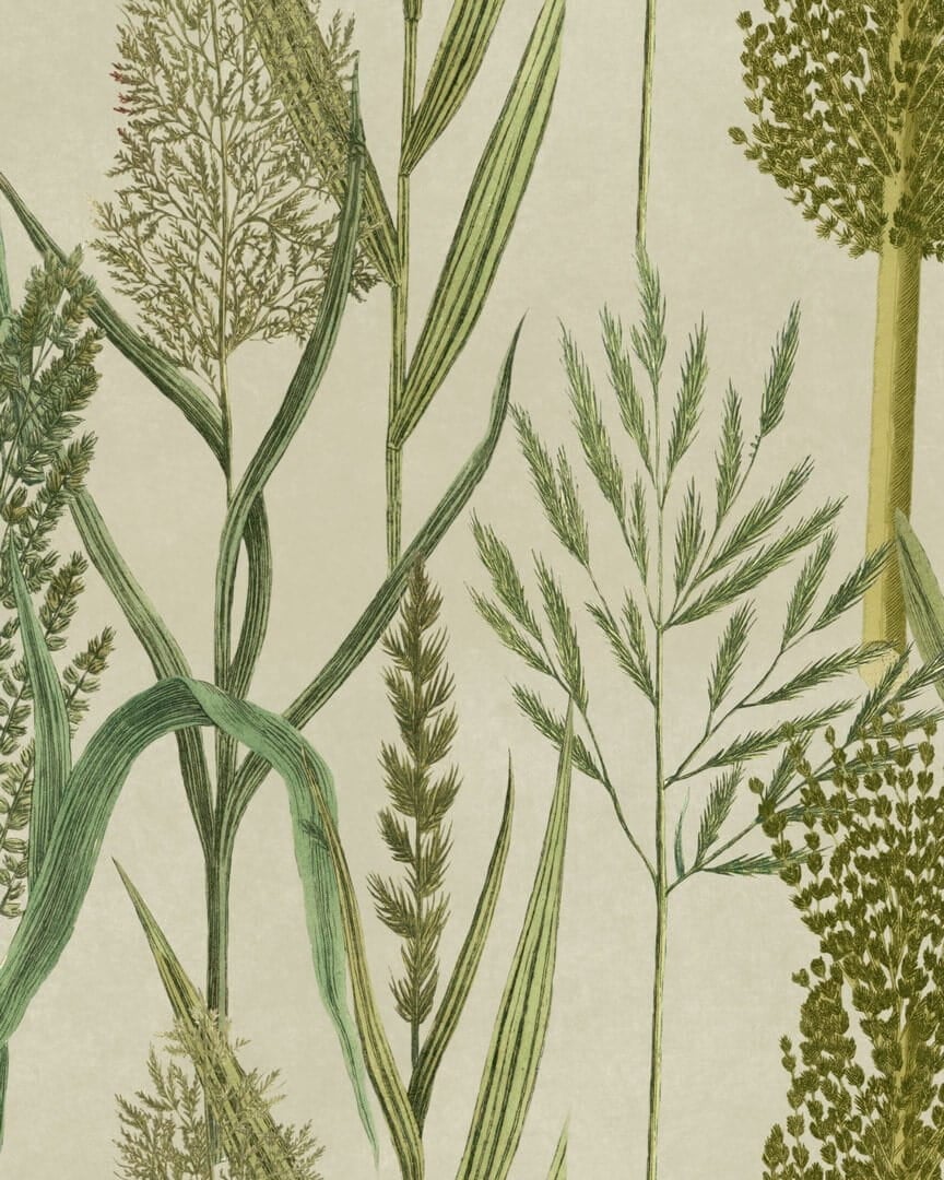 Tapeta zielnik Mind The Gap WP30164 RIVERSIDE FLORA The Wetlands