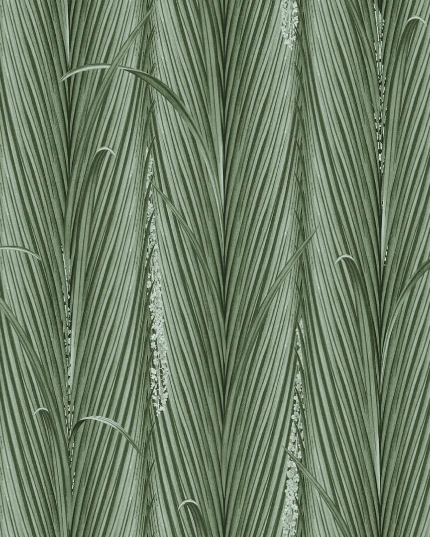 Tapeta liście Mind The Gap WP30216 DANUBE FOLIAGE The Wetlands