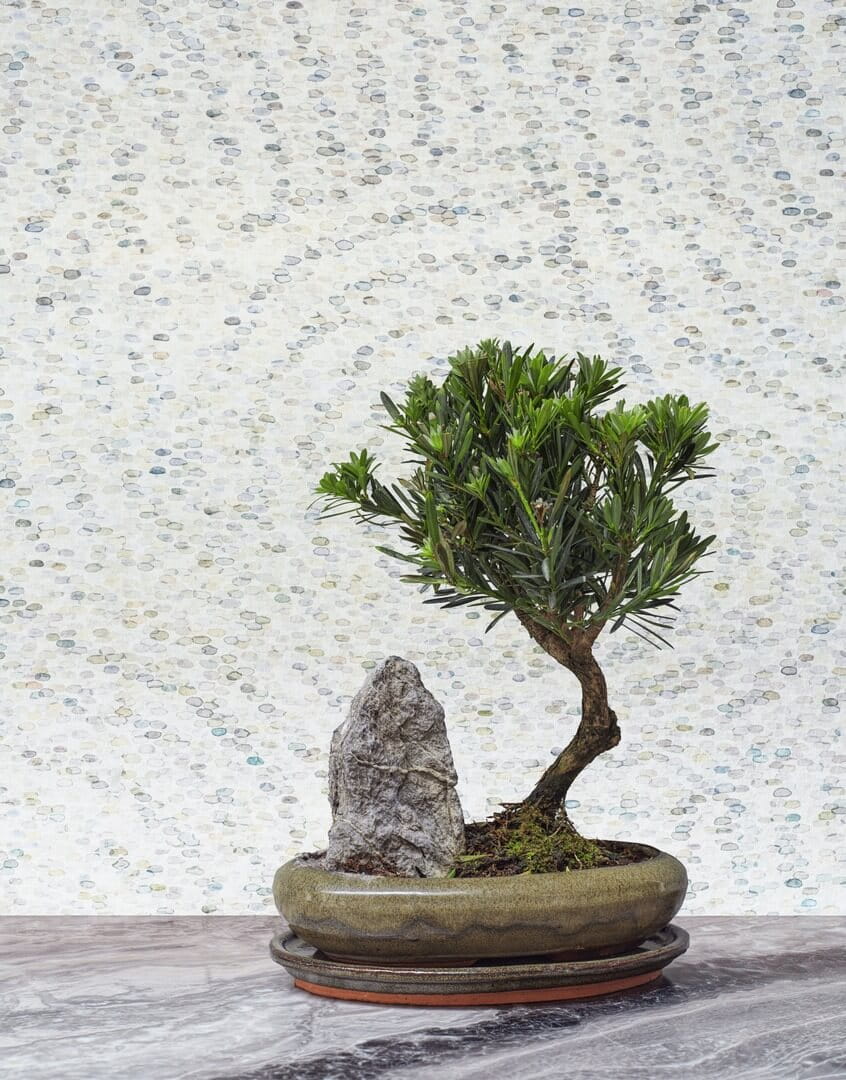 Tapeta akwarelowe kamienie Cole & Son Meditation Stone 126/3007 Shinrin Yoku