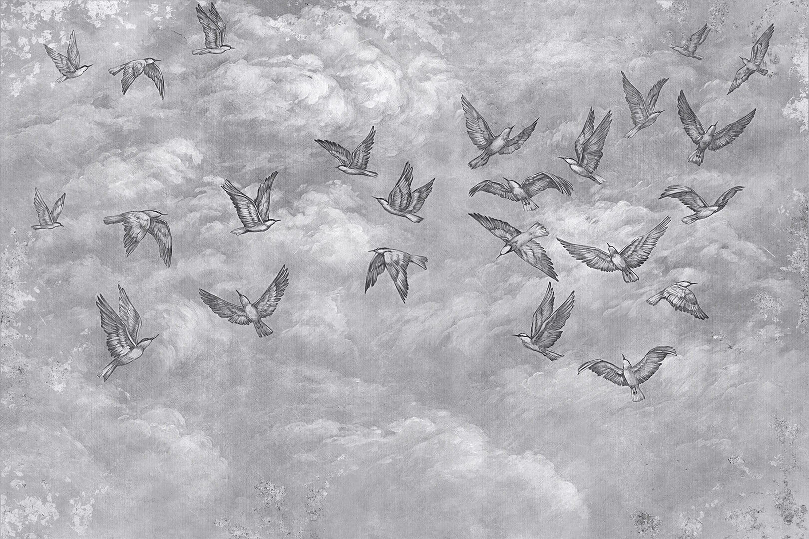 Fototapeta jaskółki Lorenso TPA 0524 0087 04 Avian