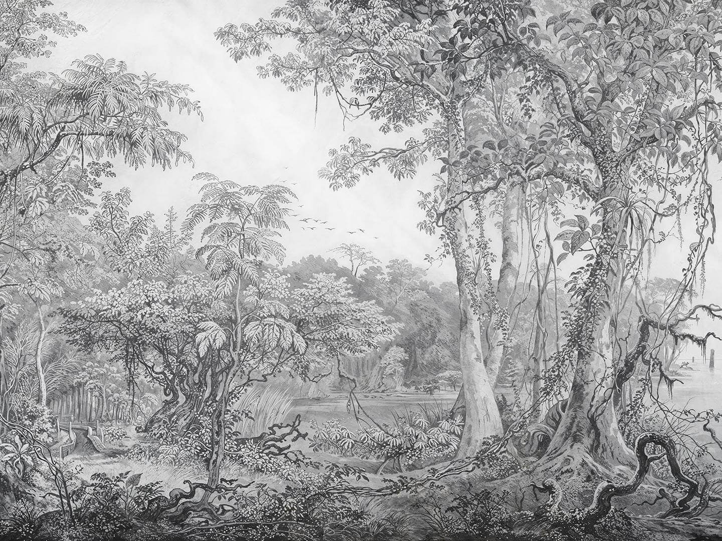 Fototapeta krajobraz lasu Wallcraft Foresta 965 32 2402