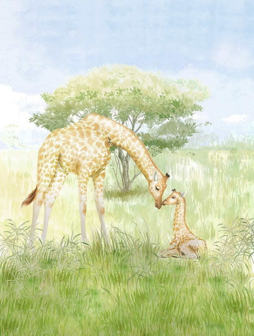 Mural żyrafy Decoprint CW6115-2 Mom and Baby Giraf Cute Walls