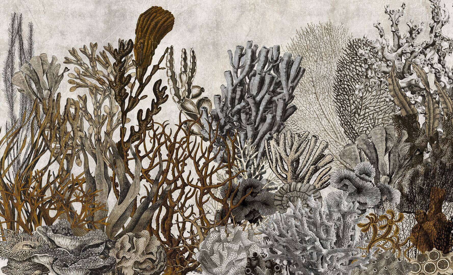 Fototapeta rafy koralowe Wall & More CORAL 2411 16A