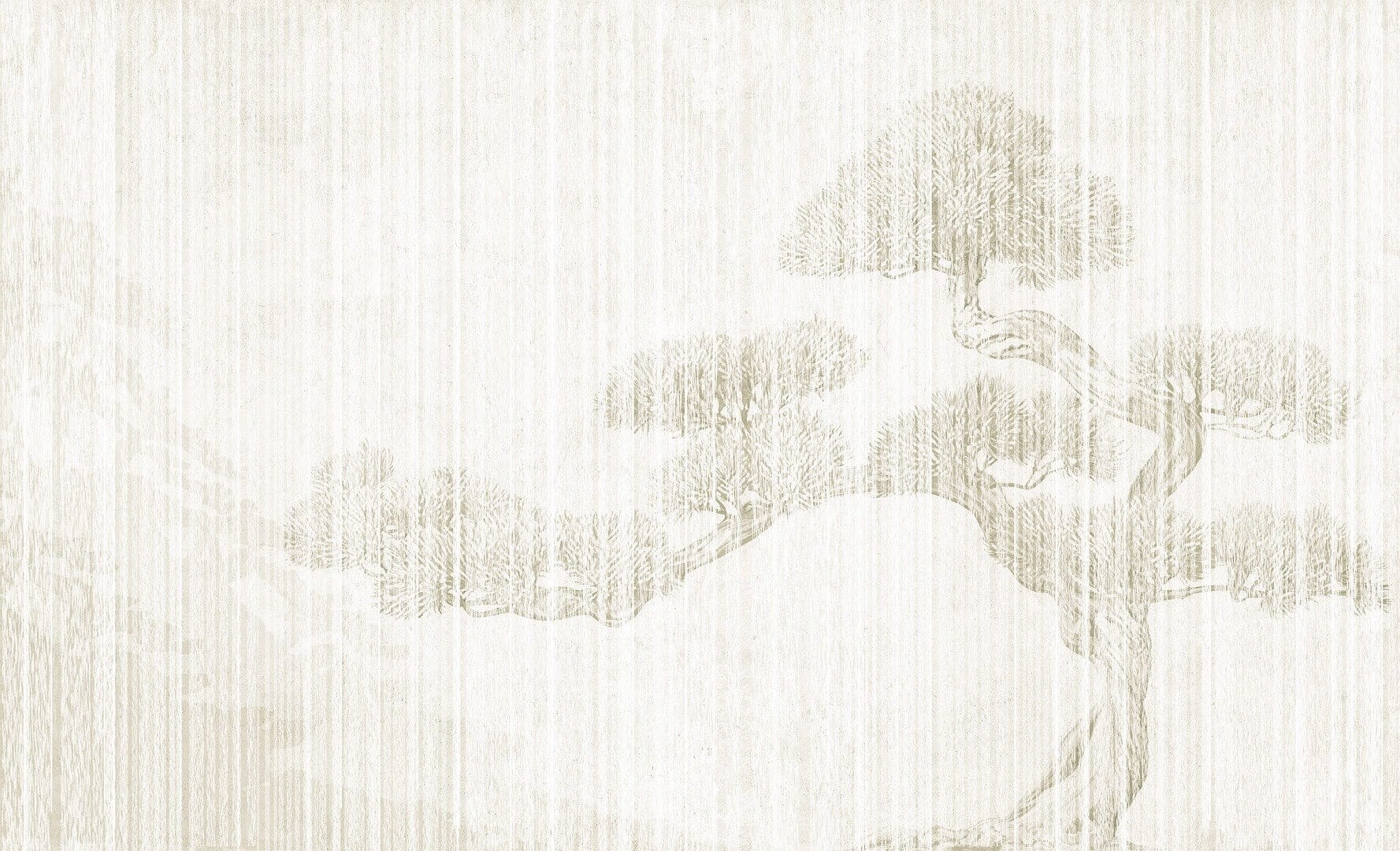 Fototapeta drzewo bonsai Wall & More BONSAI 2405 21A