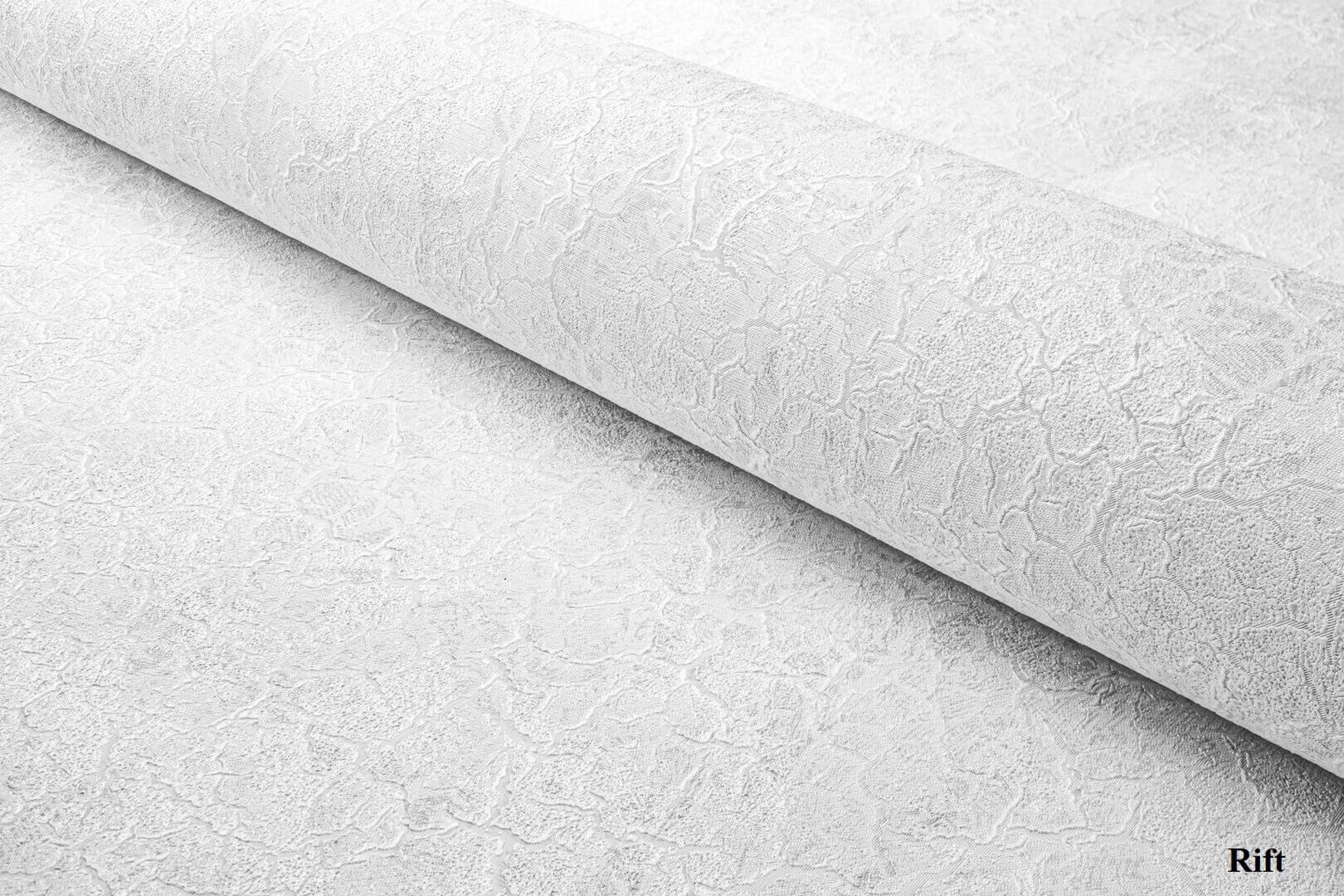 Fototapeta liście paproci Wall & More CARPATHIA 2409 11A