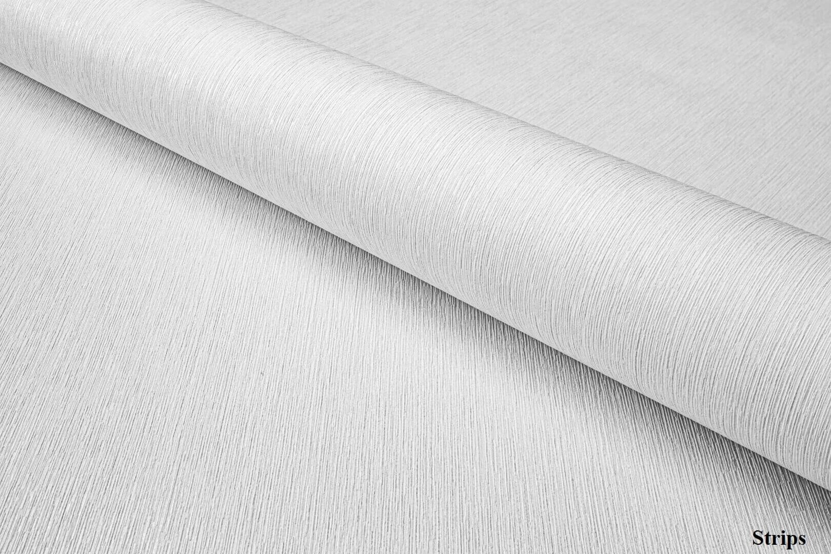 Fototapeta liście paproci Wall & More CARPATHIA 2409 11A