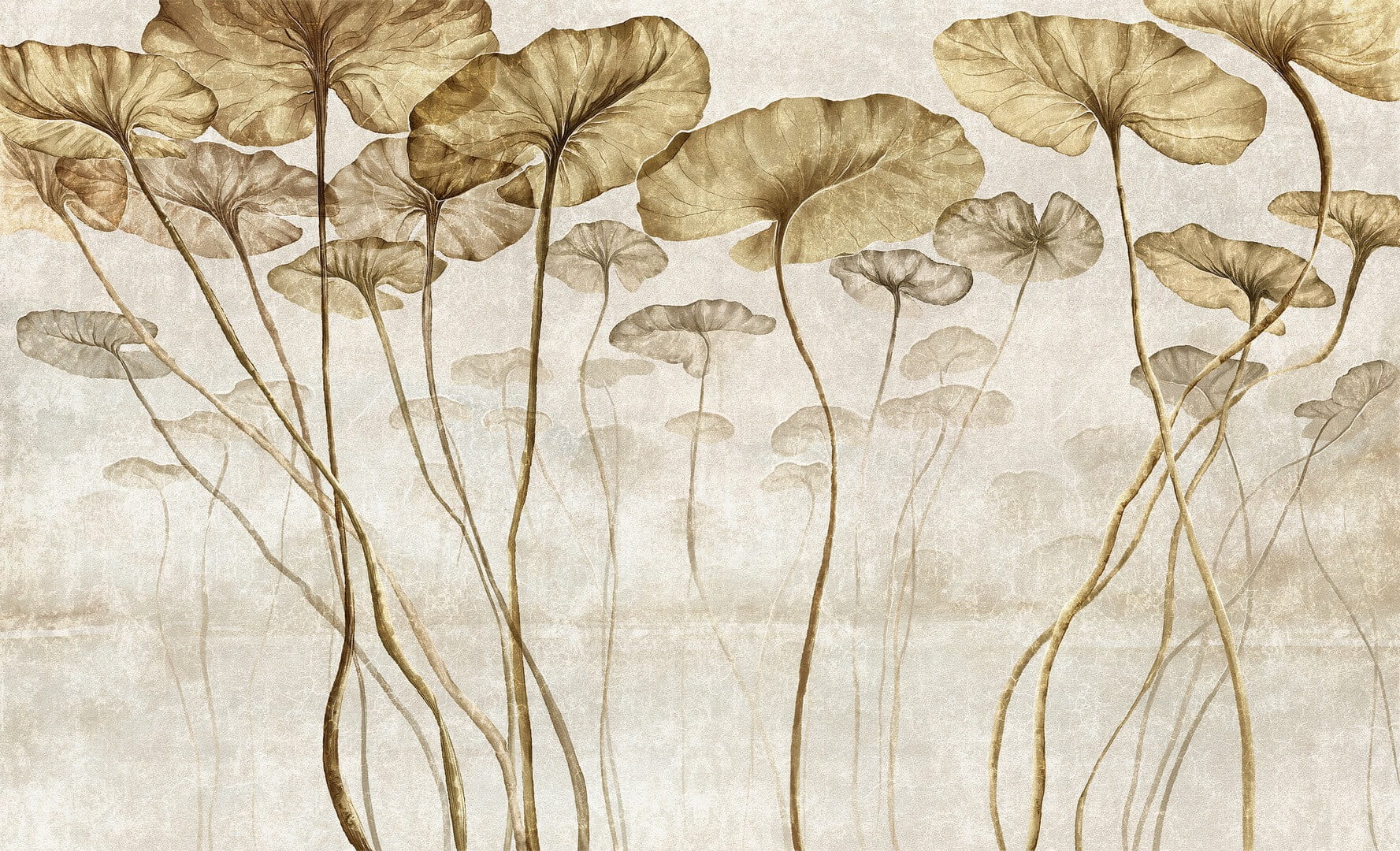 Fototapeta liście lilii wodnej Wall & More LOTUS 2433 21A