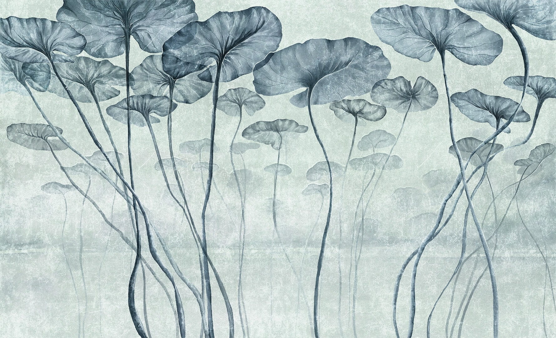 Fototapeta liście lilii wodnej Wall & More LOTUS 2434 23B
