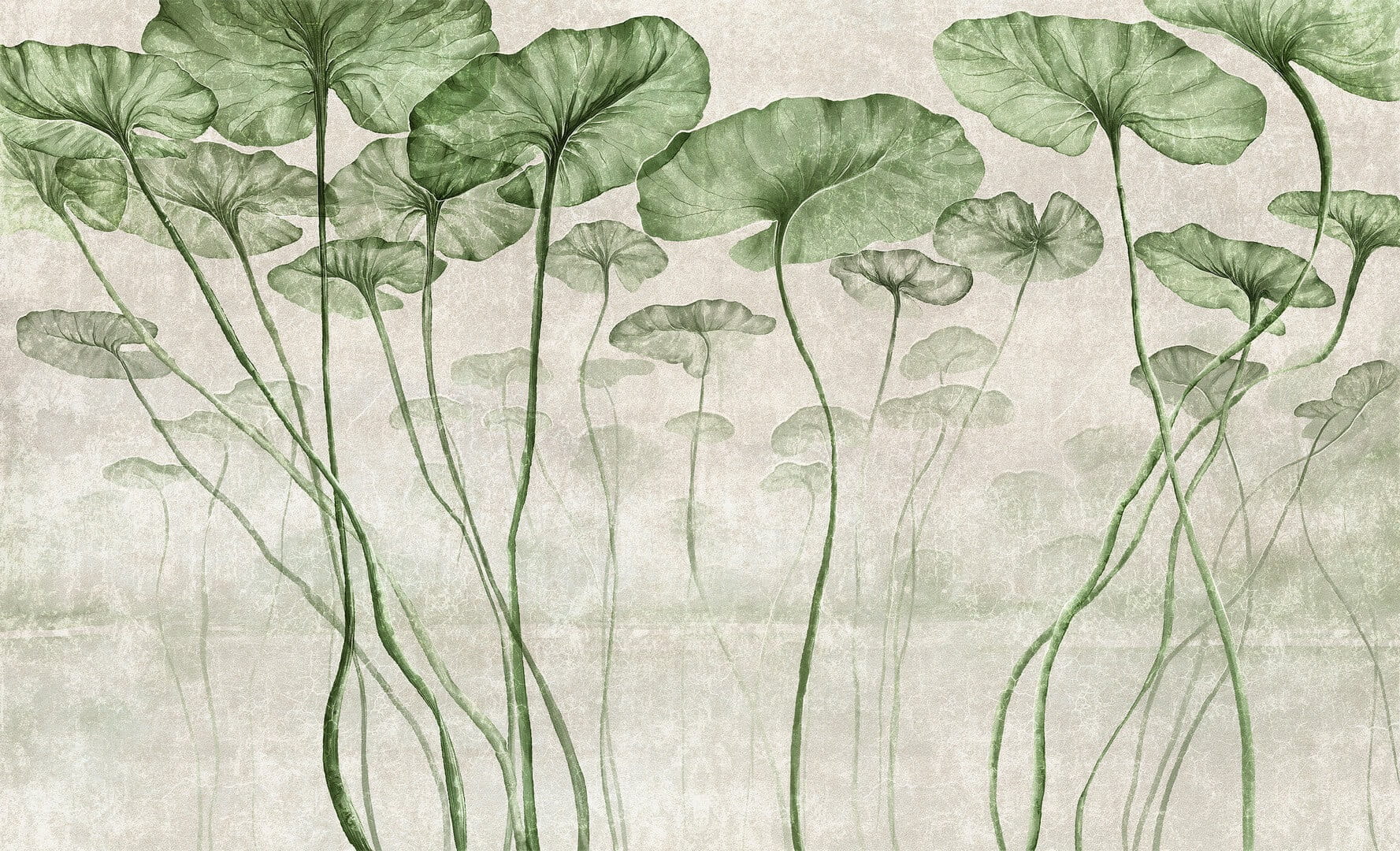 Fototapeta liście lilii wodnej Wall & More LOTUS 2435 24C