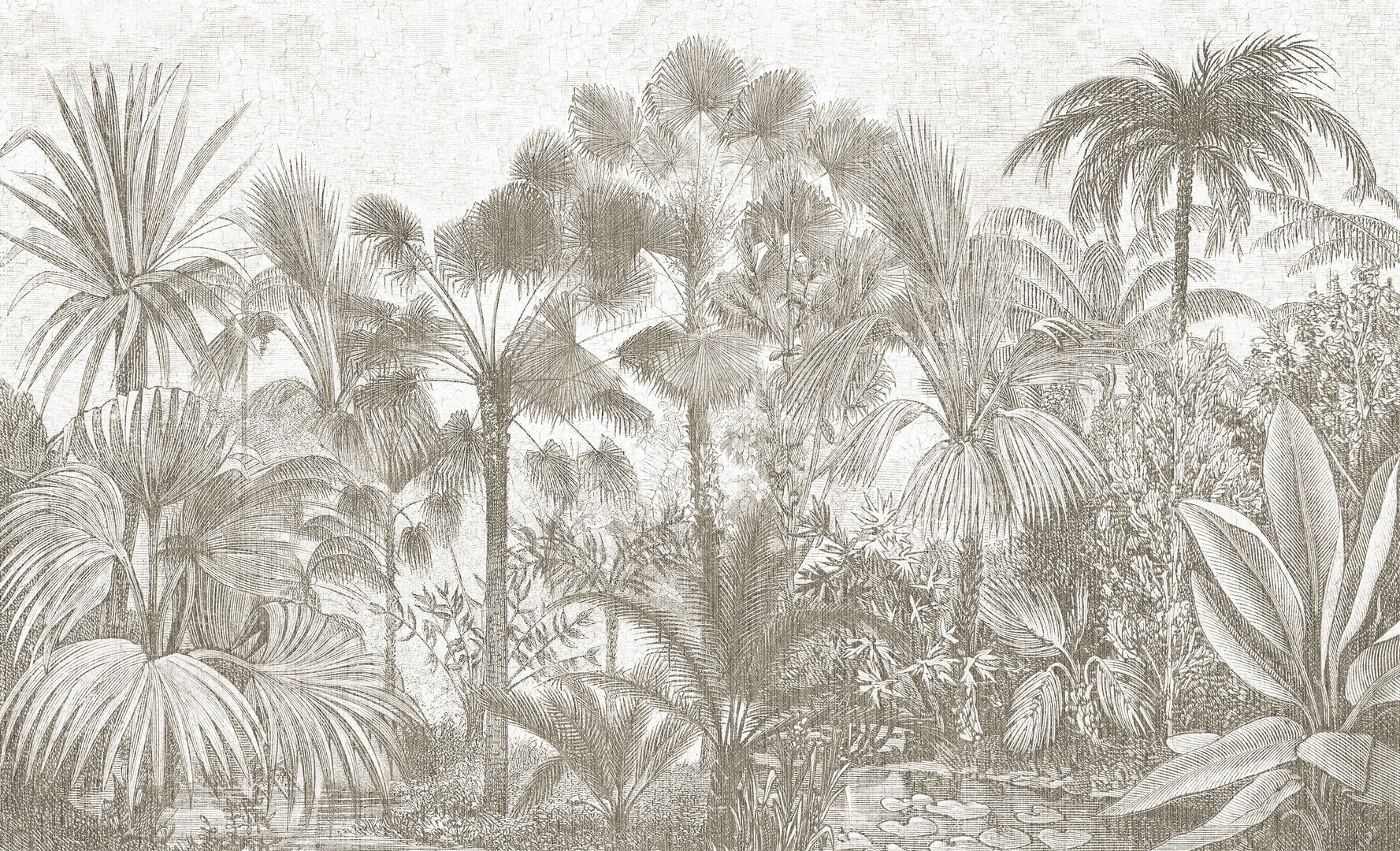 Fototapeta egzotyczna roślinność dżungla Wall & More BORNEO 2498 21A