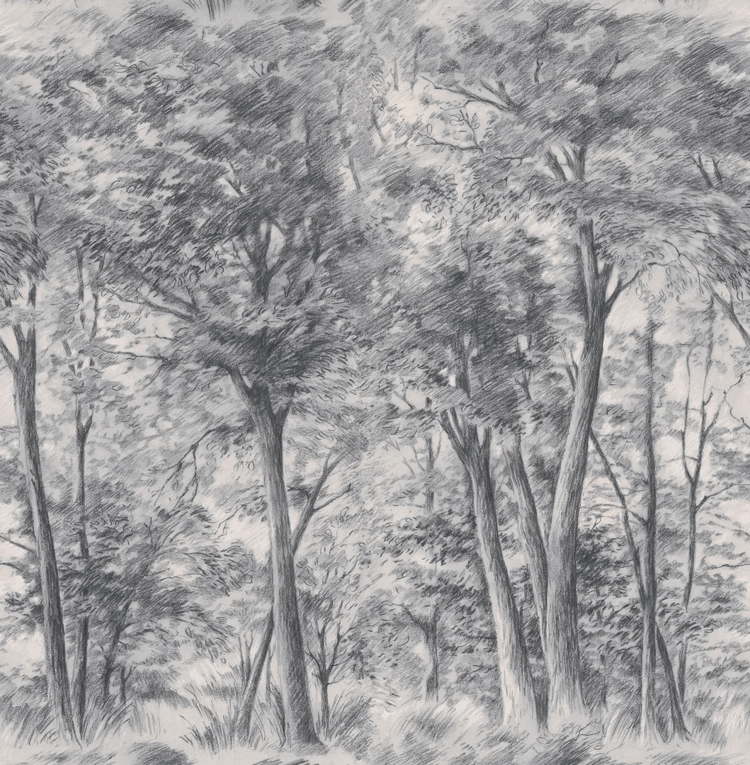 Mural szkicowane drzewa Boras Tapeter Studio 9630W Sketch of Trees