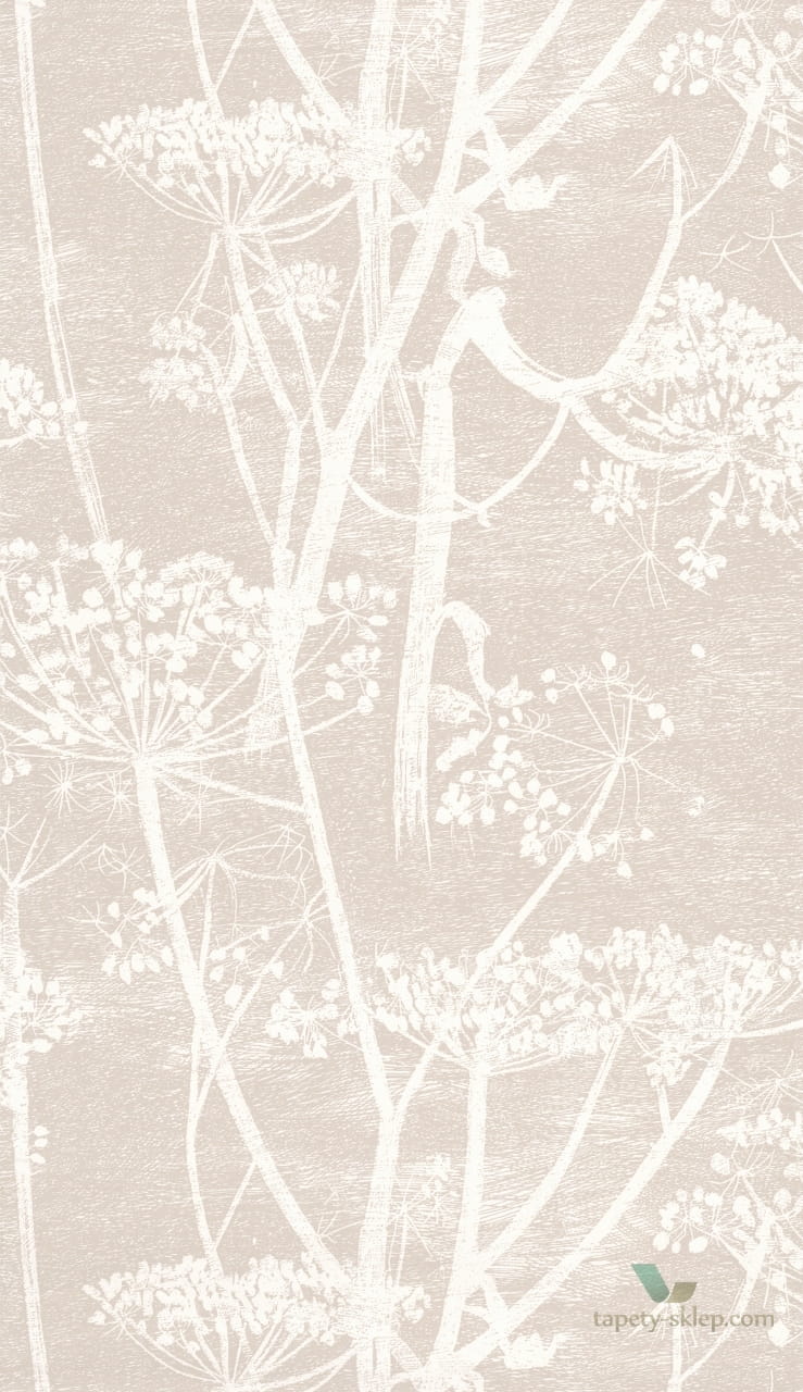 Tapeta Kwiaty Kopru Cole&Son Cow Parsley 95/9051 The Conptemporary Collection