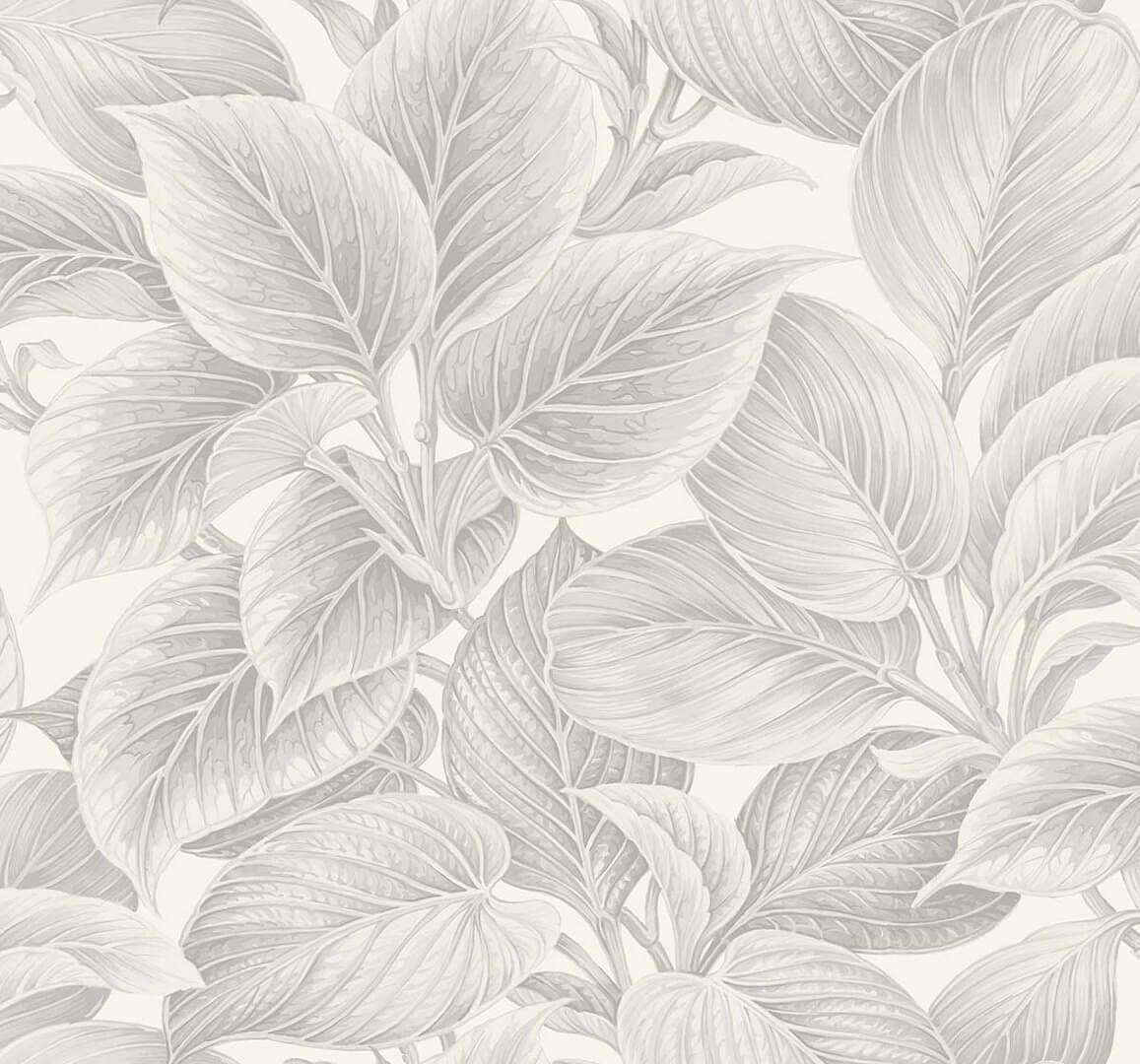 Tapeta liście Wallquest WS70308 Shades of White