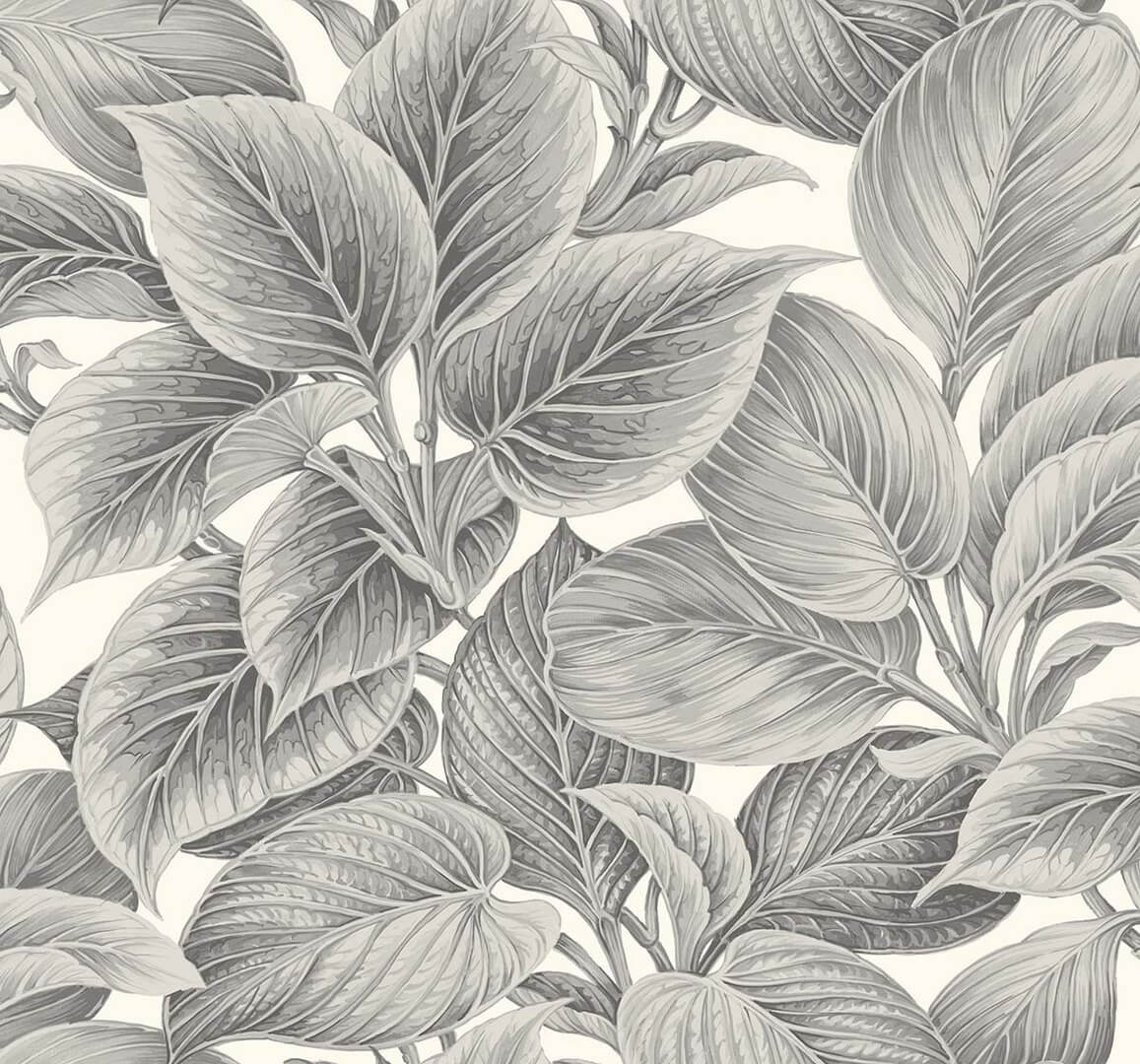 Tapeta liście Wallquest WS70318 Shades of White
