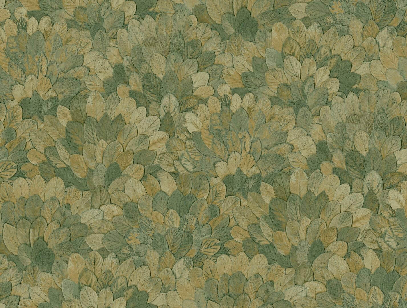 Tapeta egzotyczne liście Casamance 76841426 Feijoa Modernismo