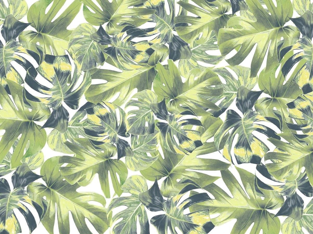 Fototapeta Monstera Rebel Walls R13041 Welcome To The Jungle