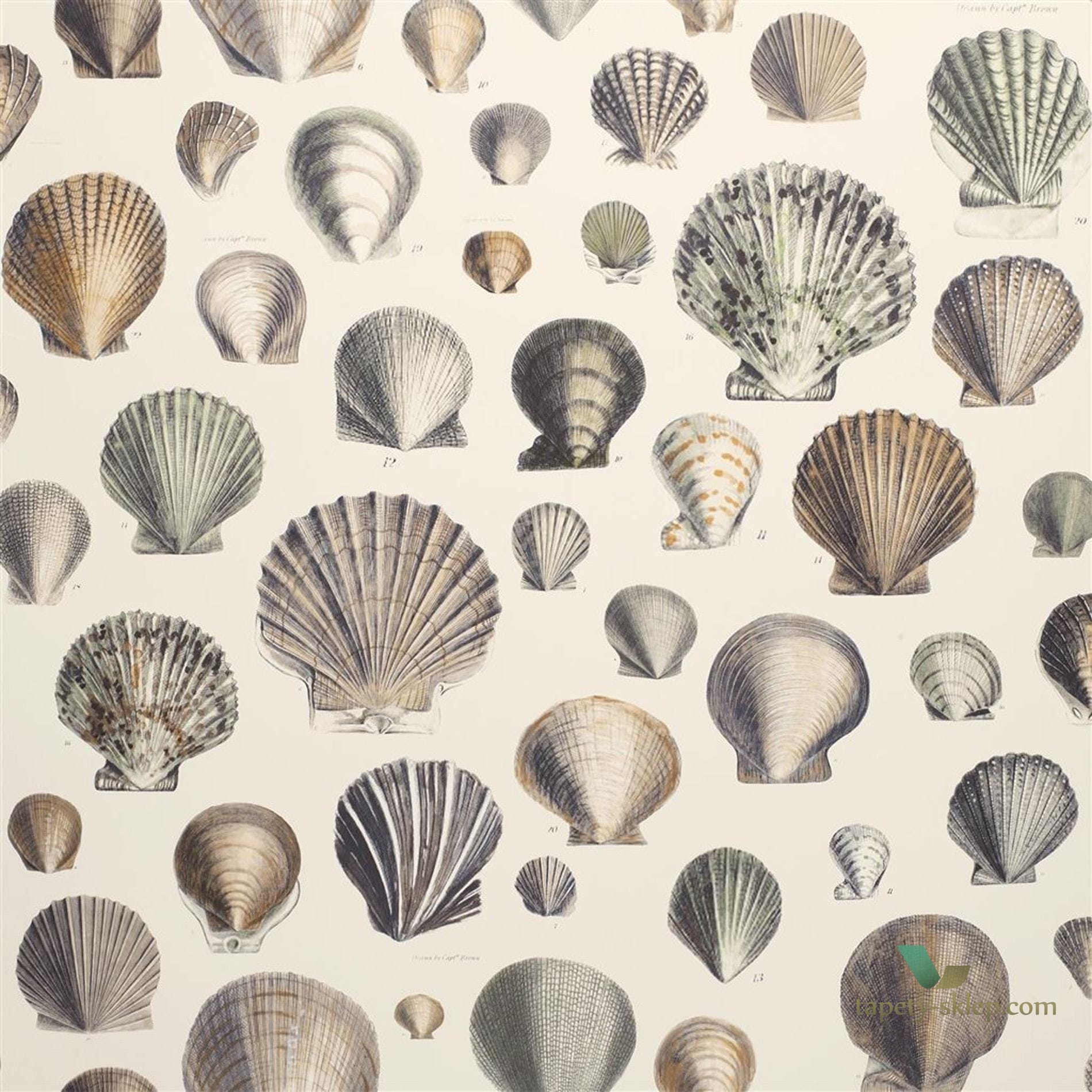 Tapeta John Derian PJD6000/02 Picture Book
