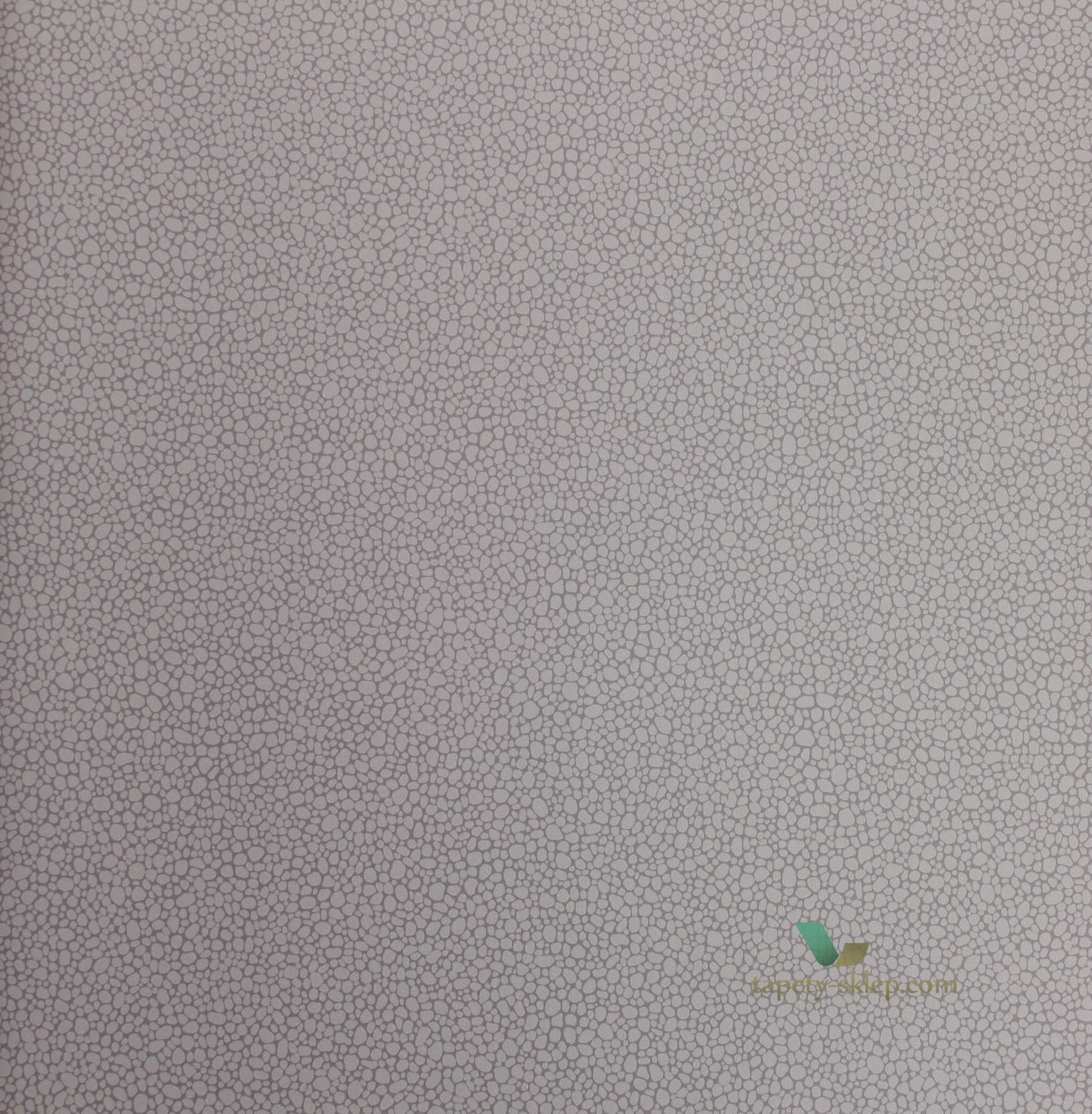 Tapeta Cole & Son 106/2015 Pebble Landscape Plains