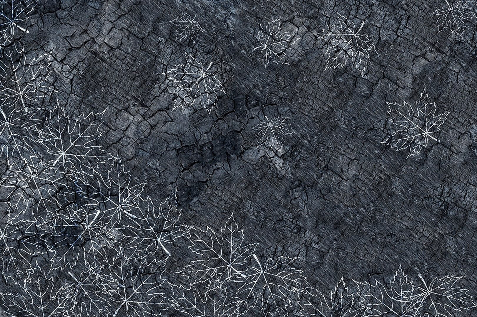 Fototapeta kora drzewa i liście Instabilelab Burned Memories