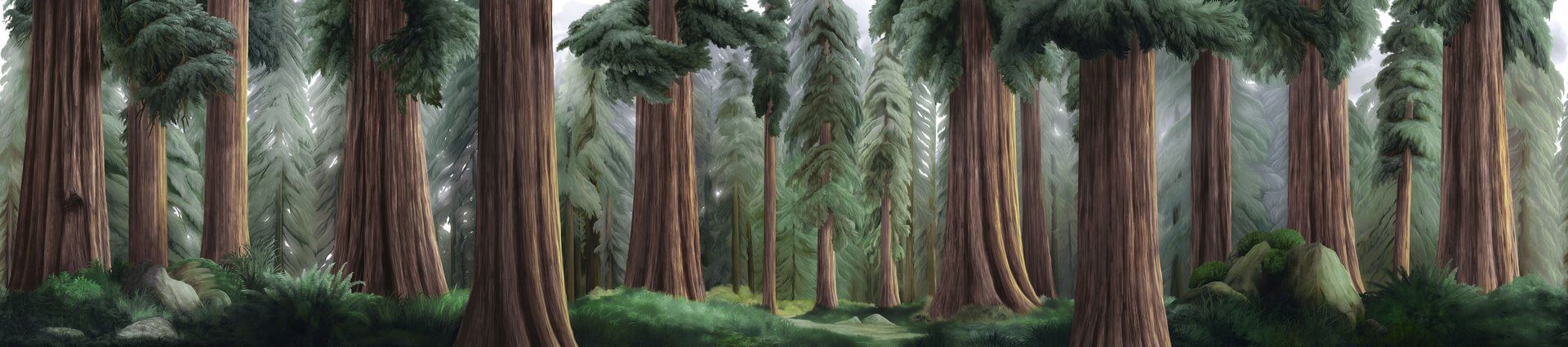 Fototapeta leśny krajobraz London Art BNV06 A La Foret Eternelle Tale Books: Bon Voyage Cap.1