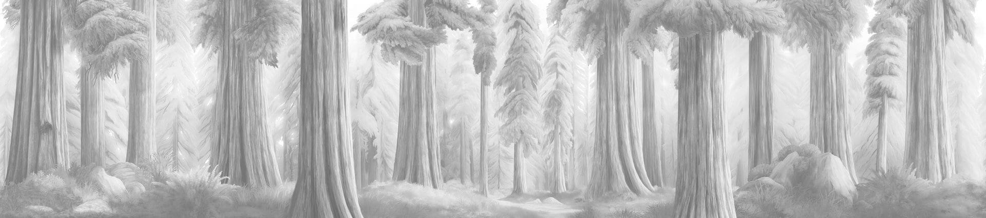 Fototapeta leśny krajobraz London Art BNV06 C La Foret Eternelle Tale Books: Bon Voyage Cap.1