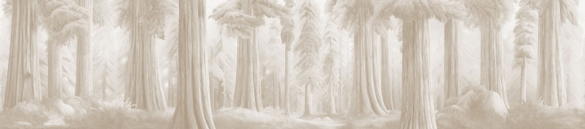 Fototapeta leśny krajobraz London Art BNV06 D La Foret Eternelle Tale Books: Bon Voyage Cap.1