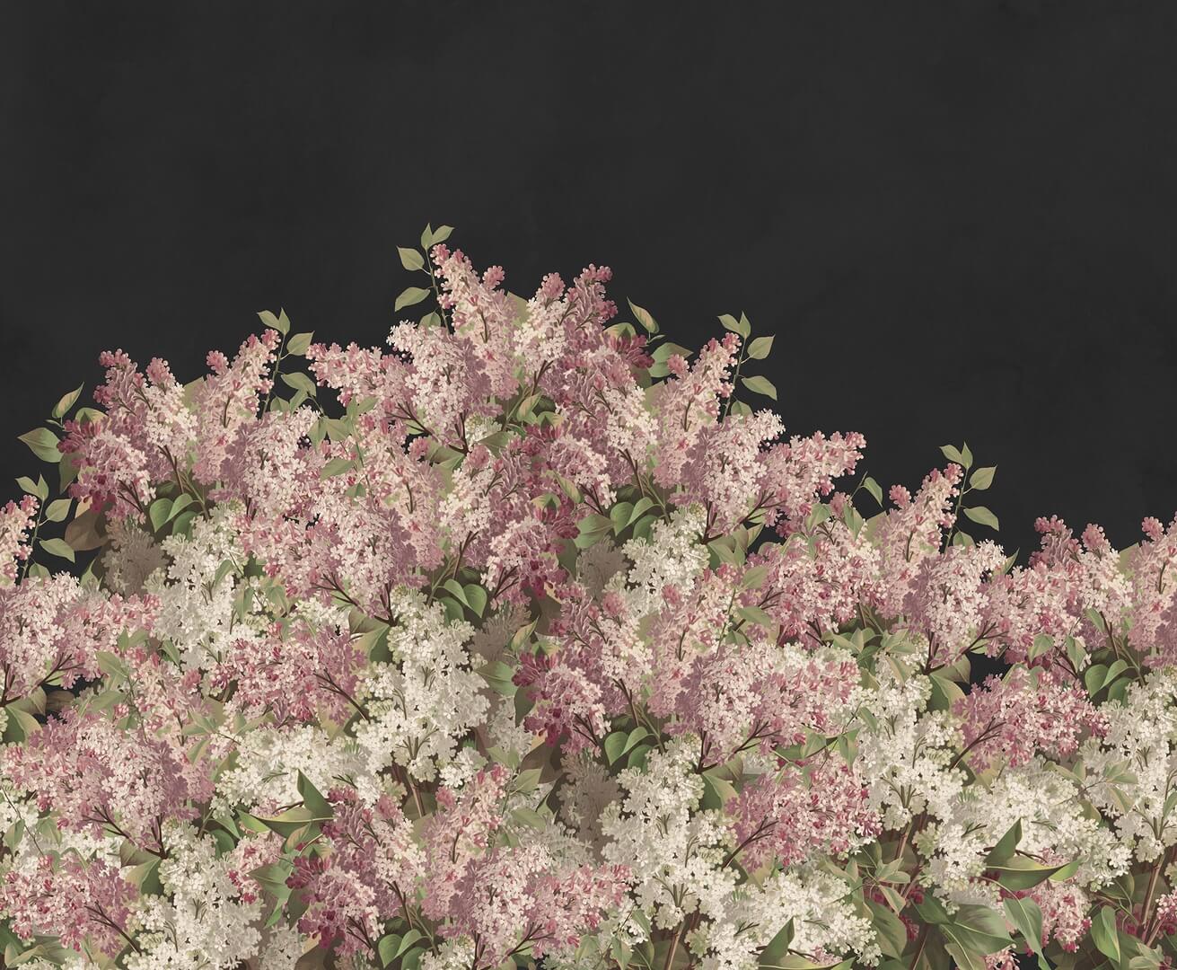 Fototapeta kwiaty bzu Rebel Walls R20920 Syringa Flowers Black Hot Pops
