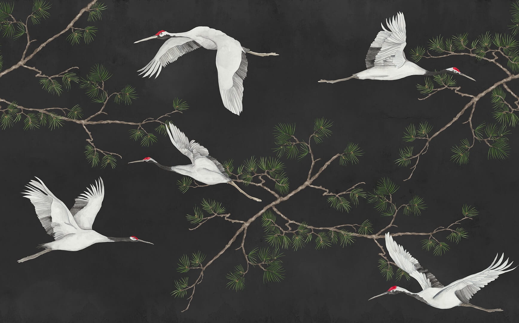 Fototapeta żurawie w locie Rebel Walls R20336 Majestic Cranes Black Poetic