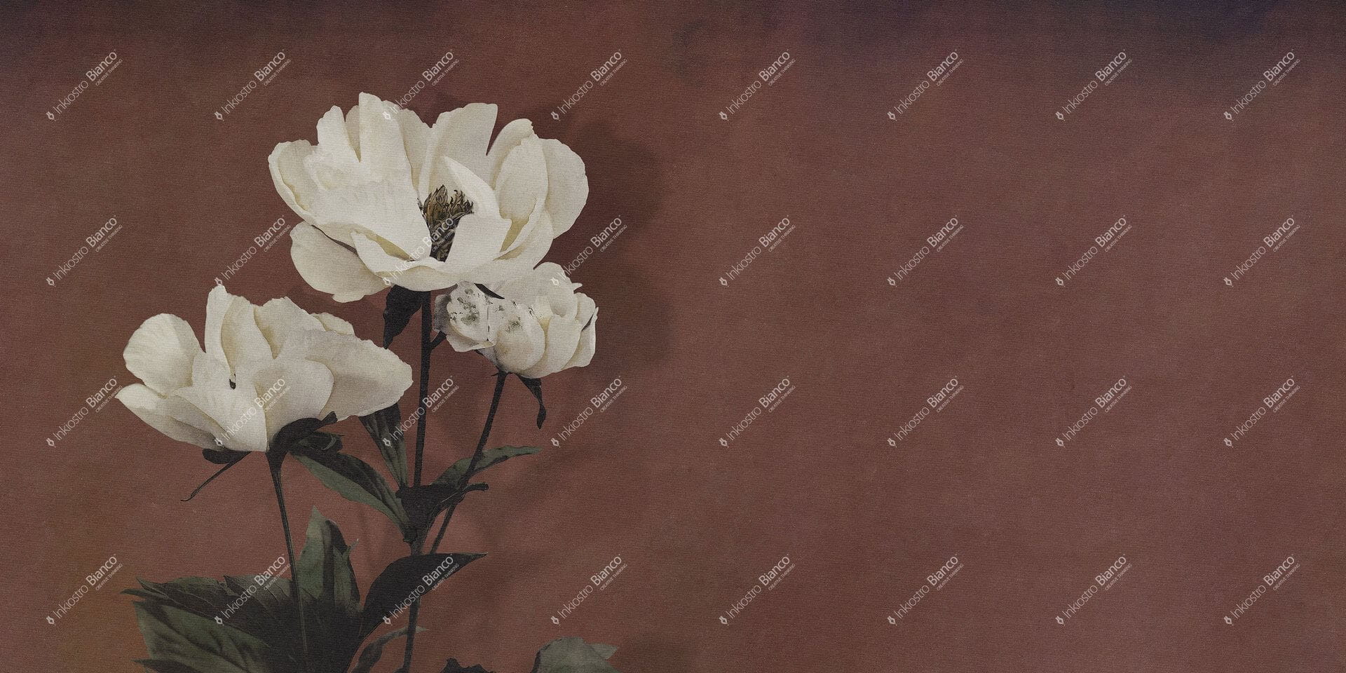 Fototapeta kwiat piwonii Inkiostro Bianco HAERDACEOUS PAEONY INKDNAD2501 Monochrome