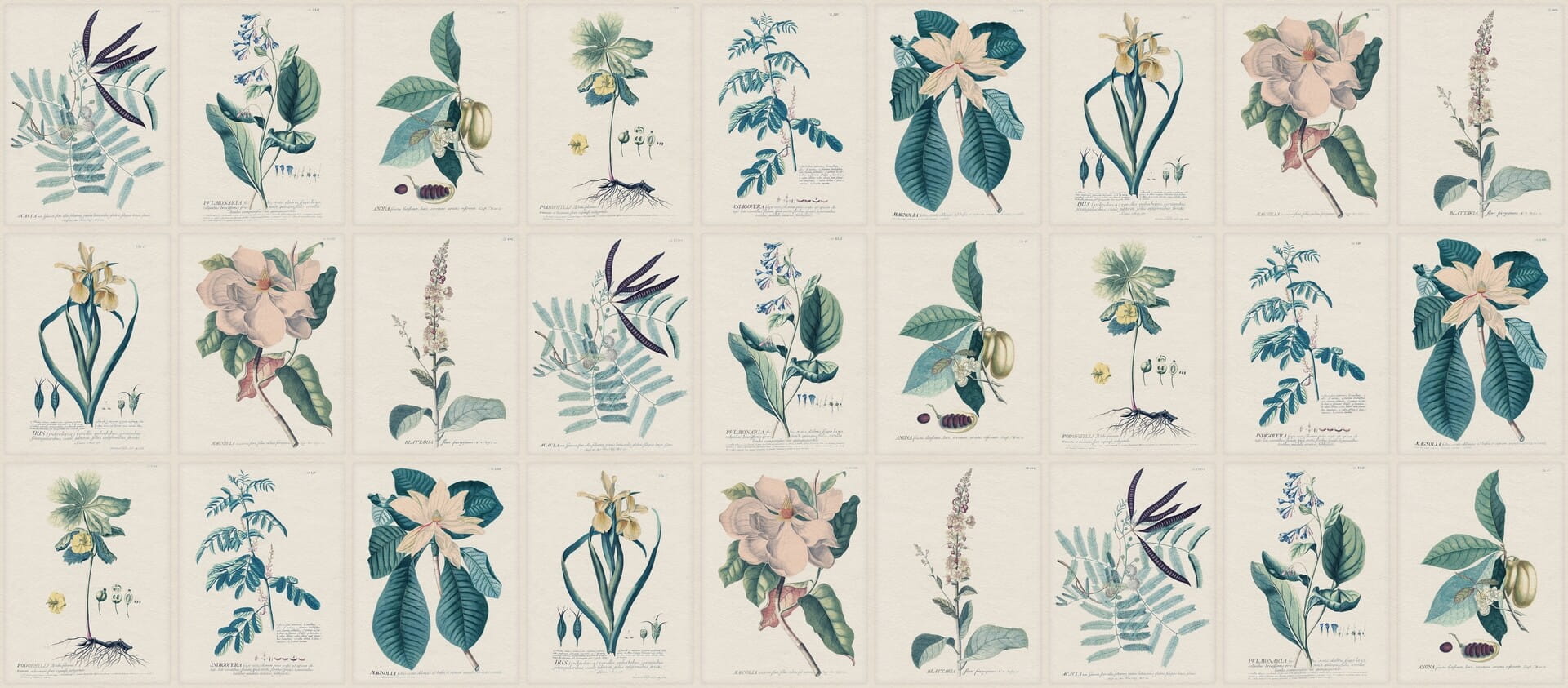 Fototapeta botaniczna vintage Sandberg S10589 Flora Blue Herbarium