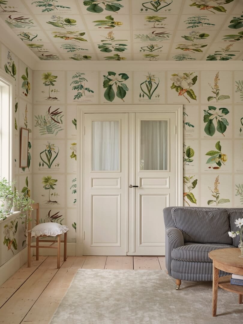 Fototapeta botaniczna vintage Sandberg S10598 Flora Green Herbarium